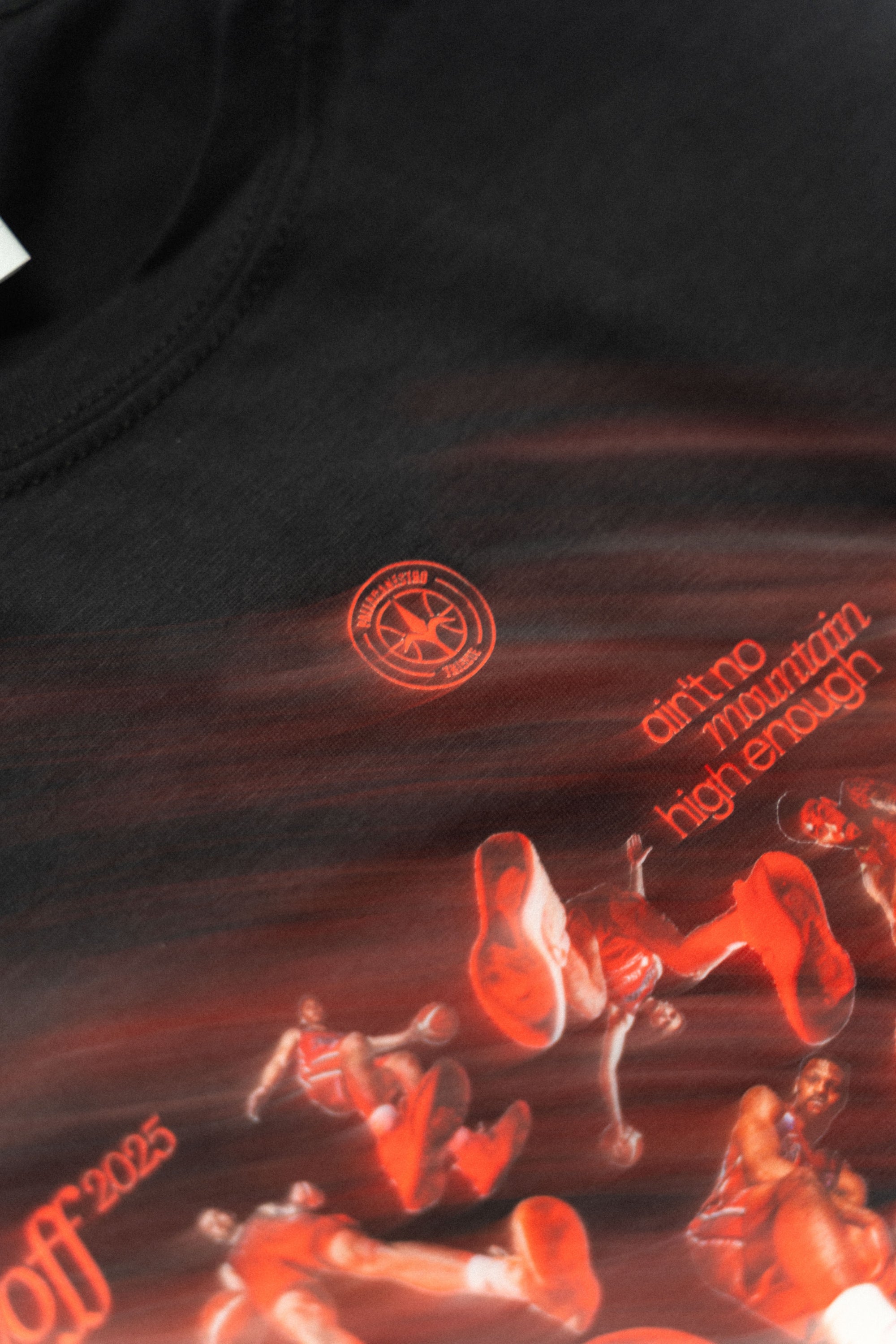 T-SHIRT ADULTS PLAYOFF 2025