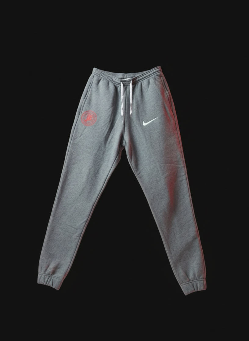 Pantaloni NIKE ADULTS  Grigi Stagione 25/26